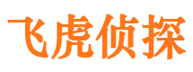 宁晋外遇取证